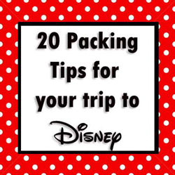 20-packing-tips-for-your-trip-to-Disney