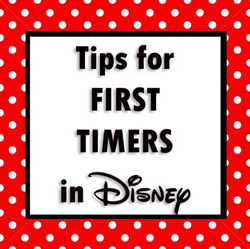 top-tips-for-first-timers-in-Disney-World-Florida