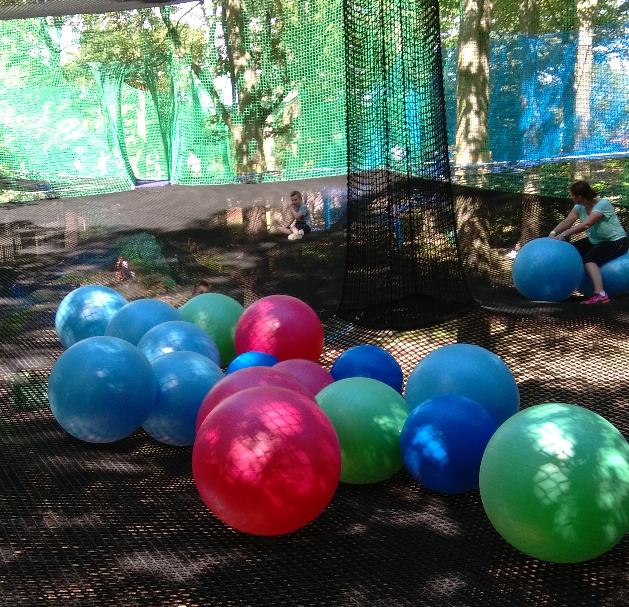 Treetop Nets a Unique and Exhilarating Day Out! Yorkshire Wonders