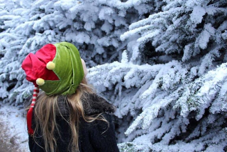 Lapland UK Reviews See exactly what's included! ⋆ Yorkshire Wonders