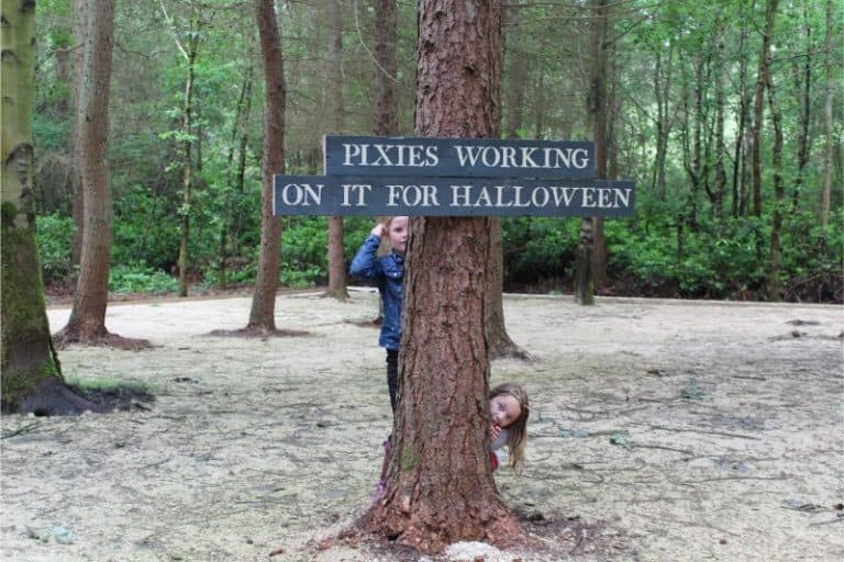 Northwood Trail Fairy Sanctuary, Stamford Bridge, Near York ⋆ Yorkshire