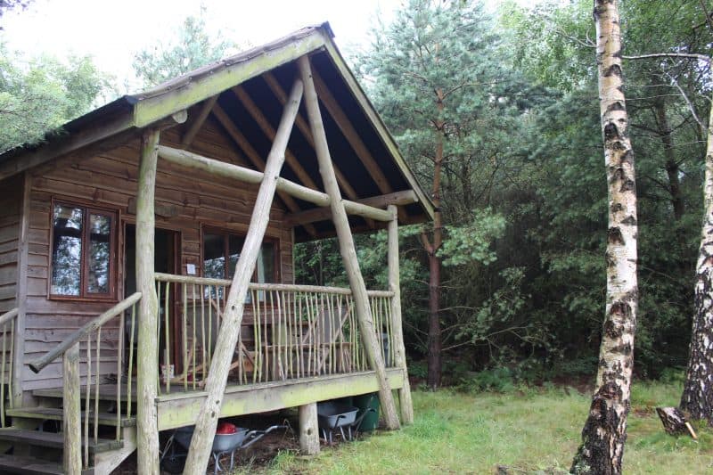Tree Lodges at Swinton Bivouac Review