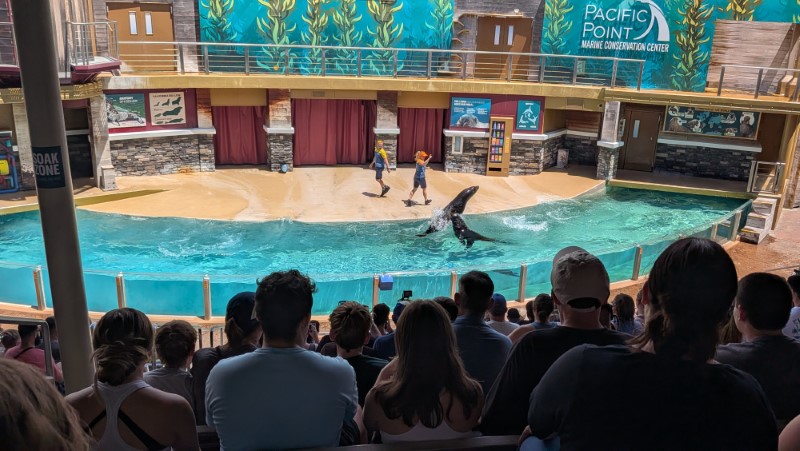 SeaWorld Orlando Review