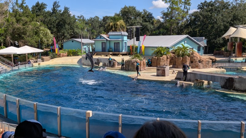 SeaWorld Orlando Review