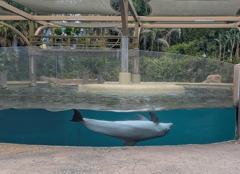 SeaWorld Orlando Review