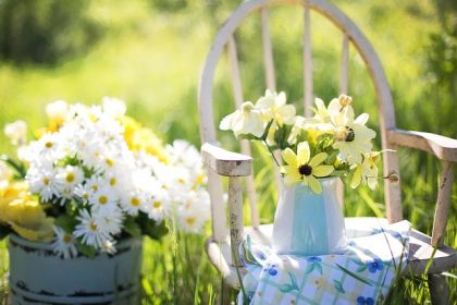 garden flowers