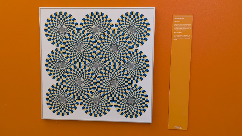 Museum of Illusions at Icon Park, Orlando review