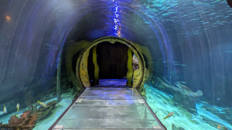 SEA LIFE at Icon Park in Orlando Review