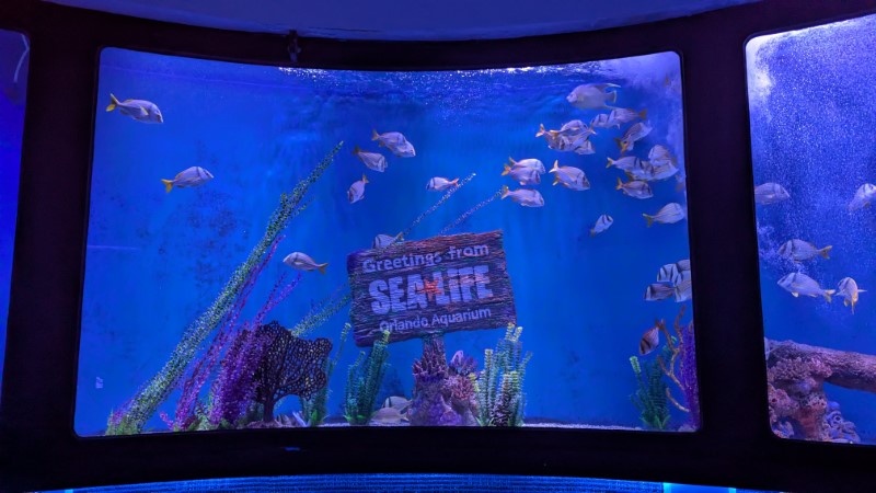 SEA LIFE at Icon Park in Orlando Review