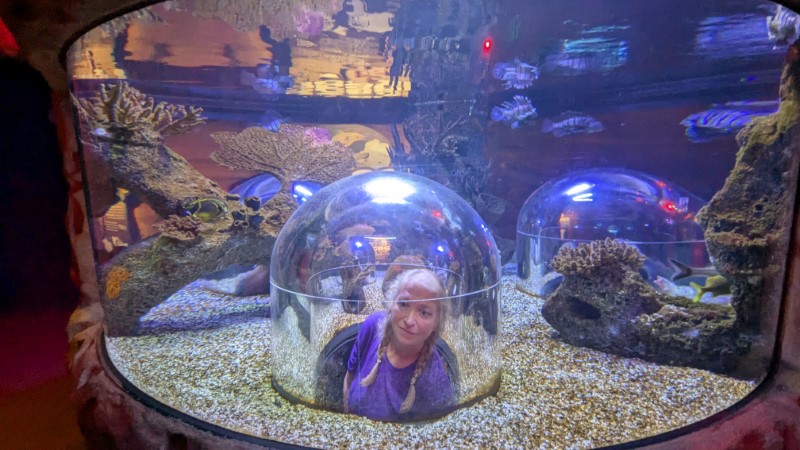 SEA LIFE at Icon Park in Orlando Review