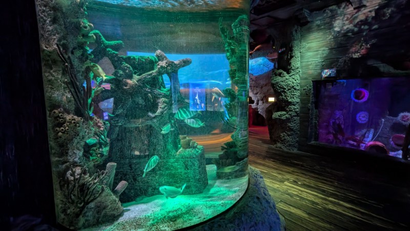SEA LIFE at Icon Park in Orlando Review