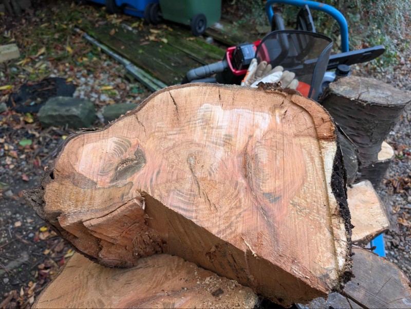 Cobra CS35040VX Cordless Chainsaw Review