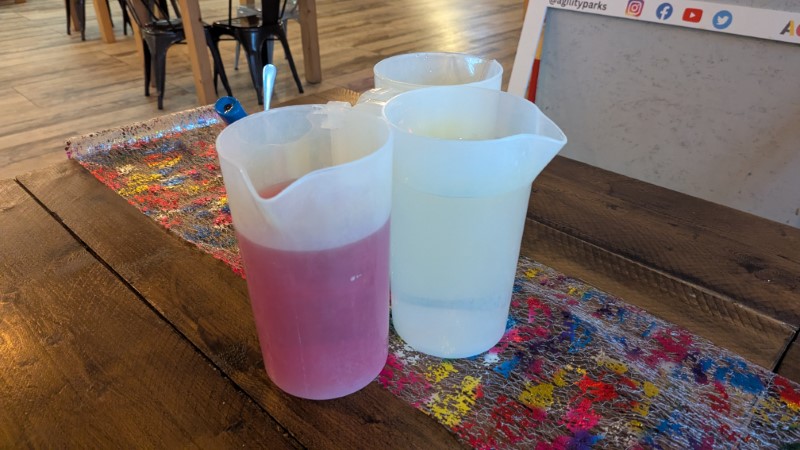 Agility, York Review