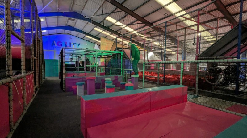 Agility, York Review