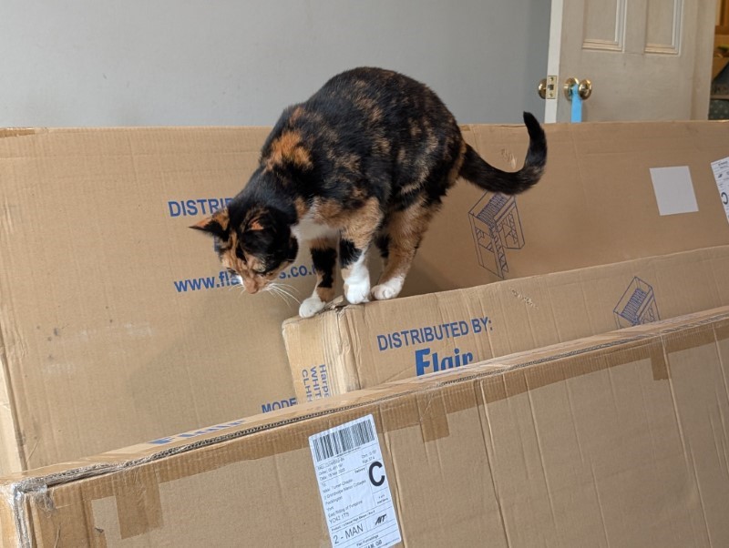 Harper High Sleeper Bed from Cuckooland Review