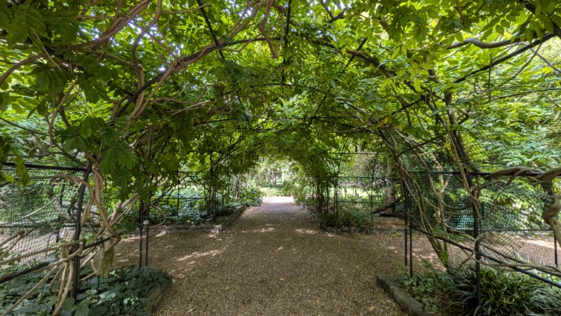 Eccleston Square Garden