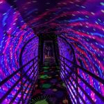 Ripley’s Believe It or Not! Orlando Review