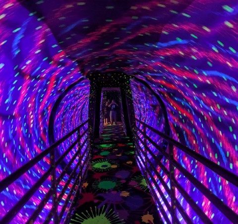 Ripley’s Believe It or Not! Orlando Review