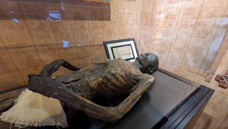 Ripley’s Believe It or Not! Orlando Review