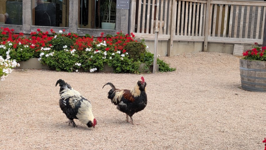La Mare Wine Estate in Jersey - Review