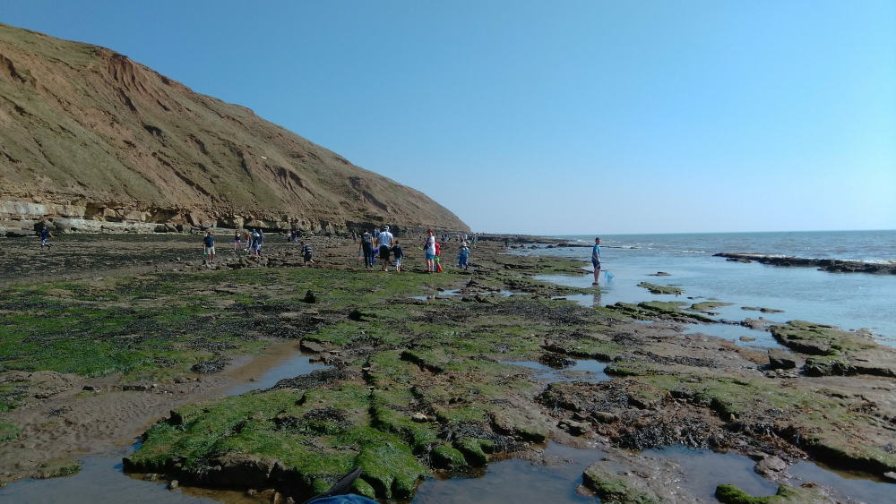 Filey Brigg - Great for Rockpooling with the Kids